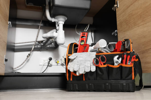 Best Plumbing Inspection Services  in Cross Roads, TX